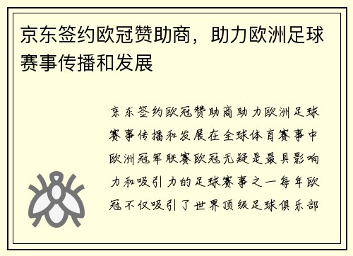 京东签约欧冠赞助商，助力欧洲足球赛事传播和发展