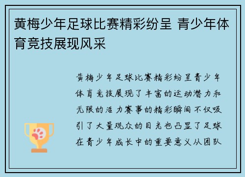 黄梅少年足球比赛精彩纷呈 青少年体育竞技展现风采