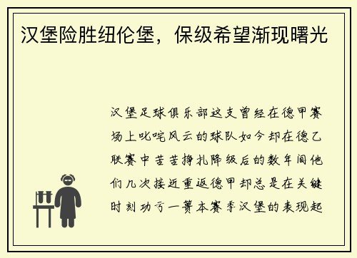 汉堡险胜纽伦堡，保级希望渐现曙光