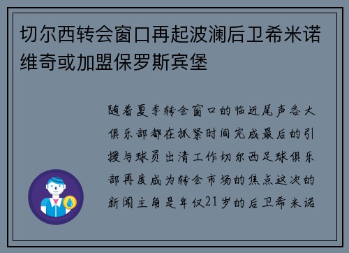 切尔西转会窗口再起波澜后卫希米诺维奇或加盟保罗斯宾堡