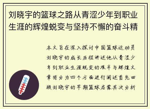 刘晓宇的篮球之路从青涩少年到职业生涯的辉煌蜕变与坚持不懈的奋斗精神